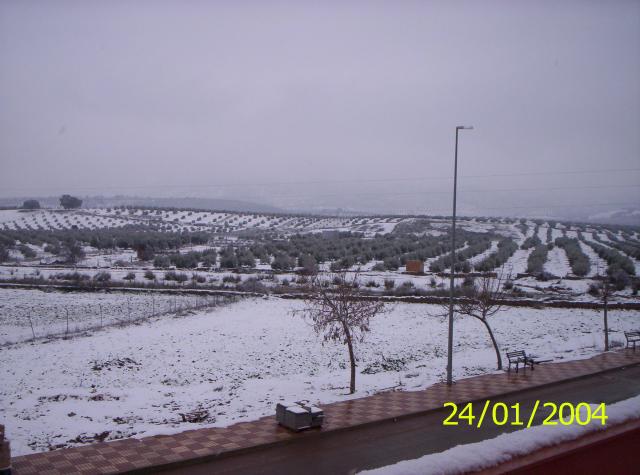 nevada 2008