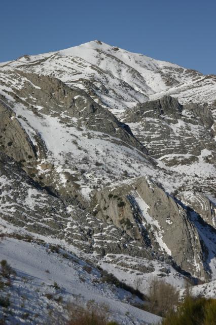 Pico Cerroso