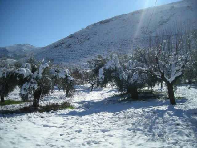 Cerro Ojancos nevado
