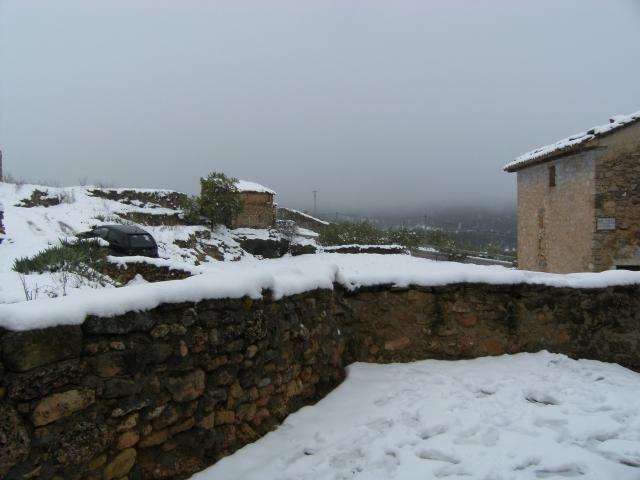 Cerollera nevada 08