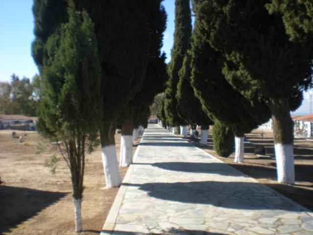 Pasillo central del cementerio de Madrigalejo
