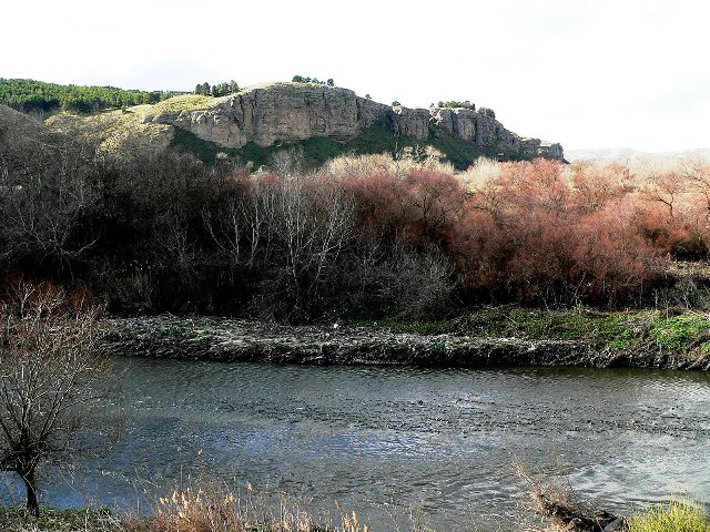 Tamarindos en la rivera del ro Manzanares
