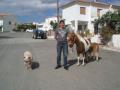Jose Carlos y sus mascotas