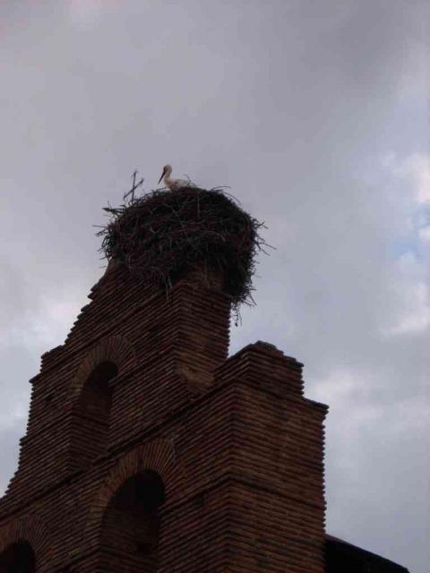Torre de la iglesia con cigea