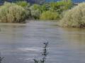 El rio tietar por el vardihuelo