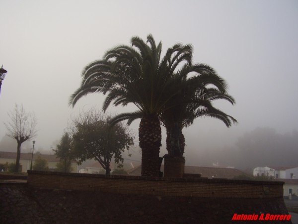 Plaza del Minero bajo la niebla de la maana