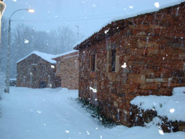 invierno 2009