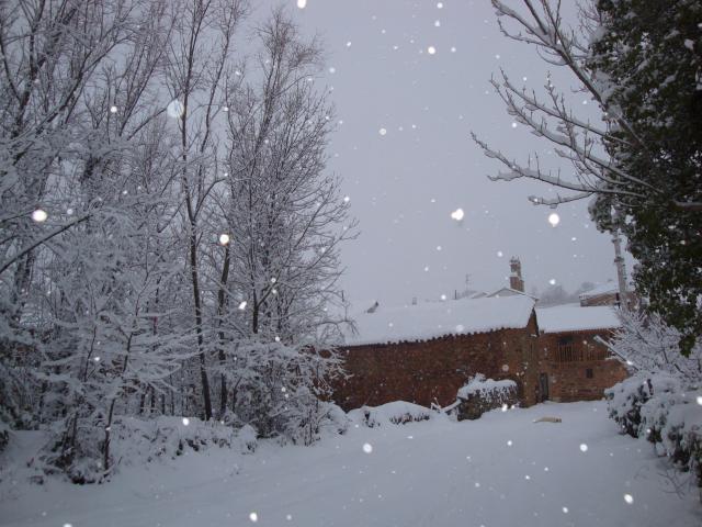 invierno 2009