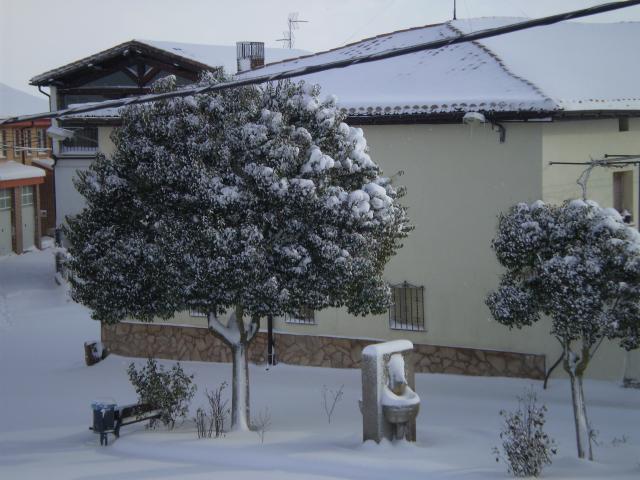 Nieve