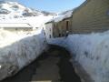 La calle durante la nevada