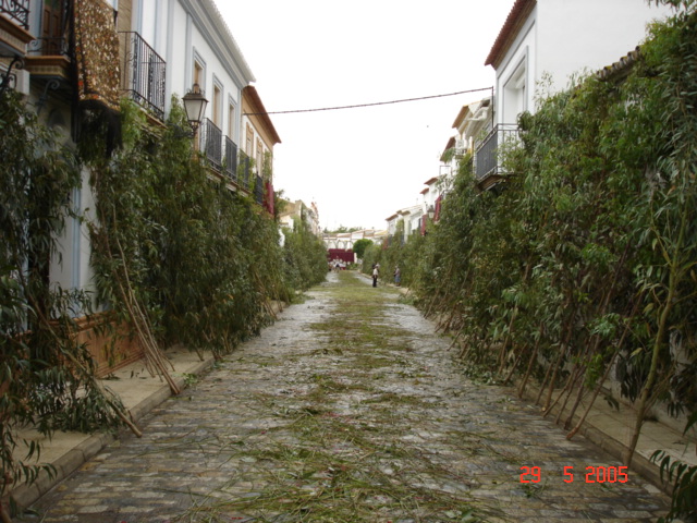 Corpus - Calle Manzanilla