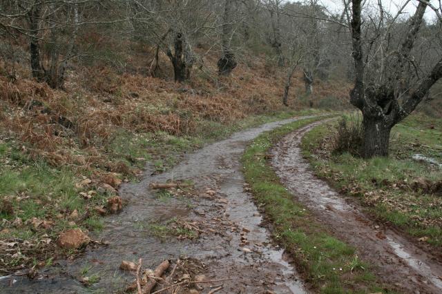 Valle de Aguarrubia. Fuenteheridos