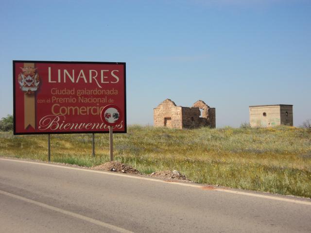 LINARES PREMIO COMERCIO 2004