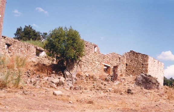 Cantina del oliveo (ruinas)