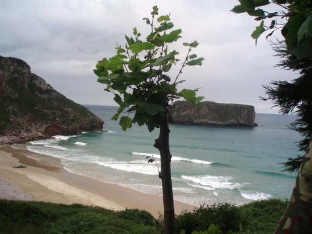 Playa de Andrn