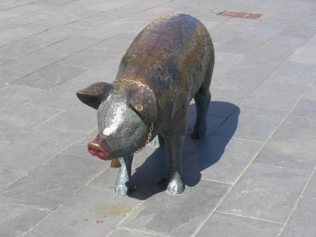 O Porco