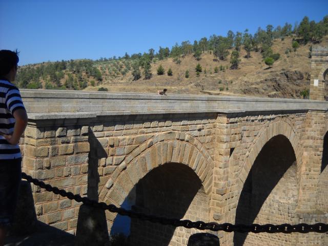 Puente Romano de Alcntara