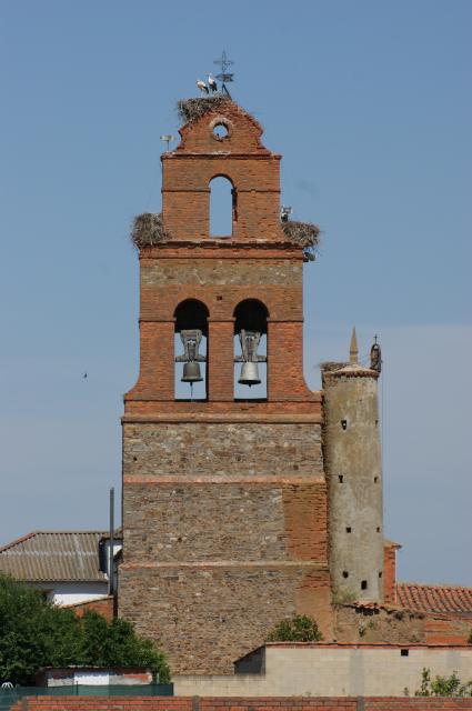 Torre y cigeas