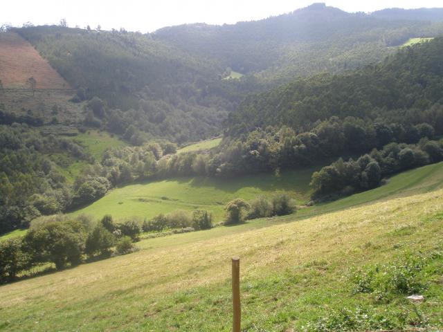 valle de san agustin ( riocabo )