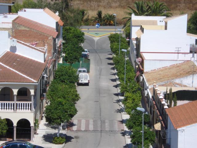 calle principal, vista desde el campanario
