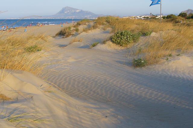 Playas de Oliva 7
