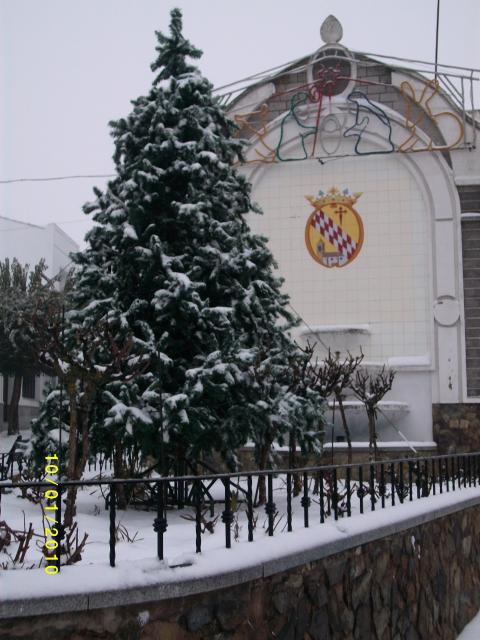 nevada enero 2010