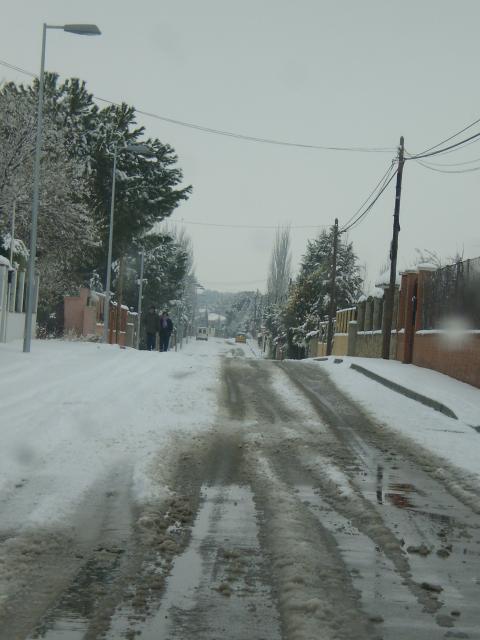 nevada 2008
