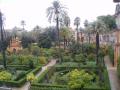 jardines del Alcazar