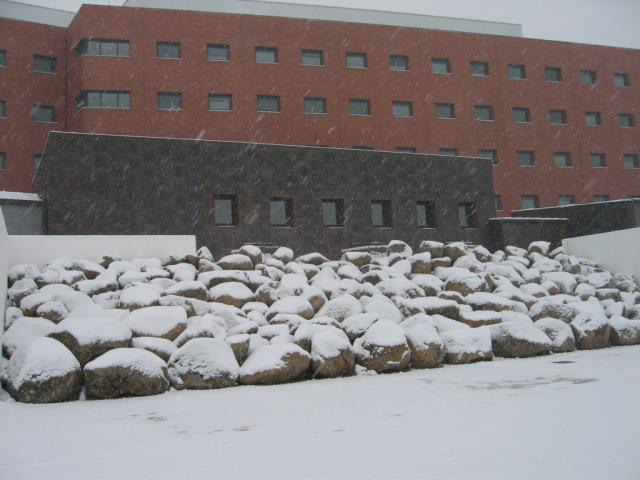 Hospital nuevo nevado