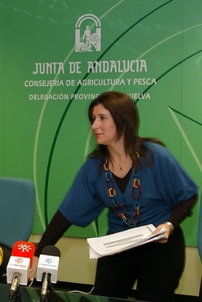 Esperanza Cortes candidata socialista
