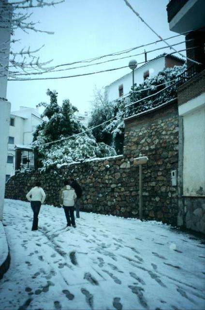 nevada del 2006