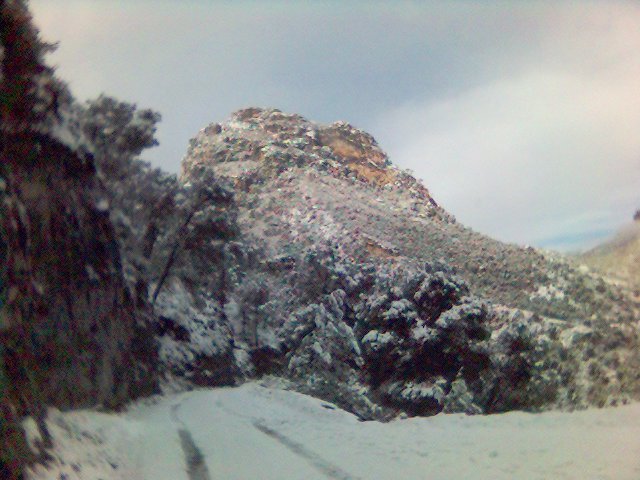 nevada del 2006