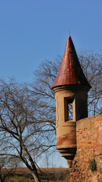 el castell de sabadell