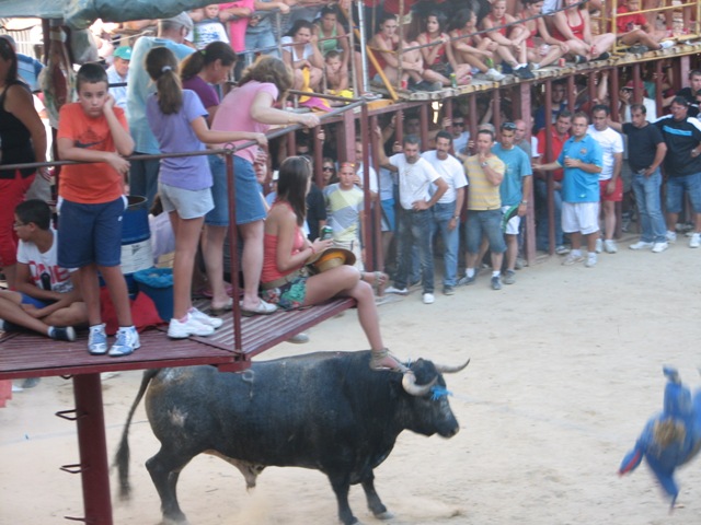 Fiesta Cristo de la Salud toros 2011 