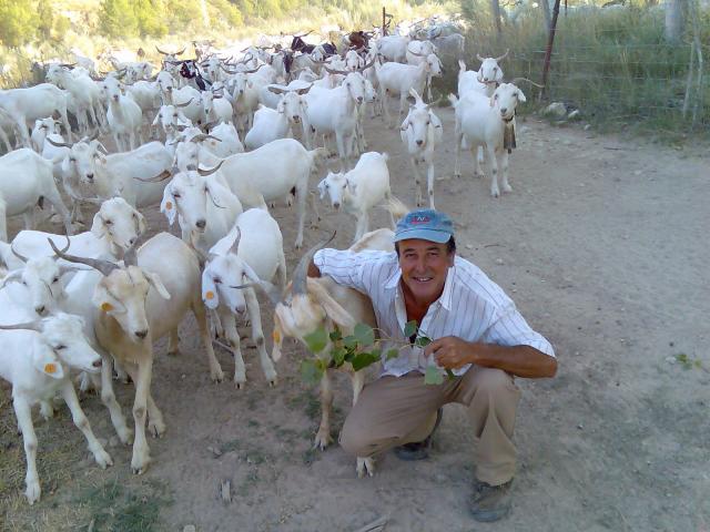 Ramn y sus cabras
