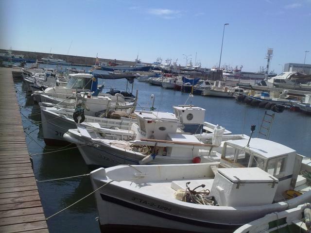 Barcas , LAmetlla De Mar 