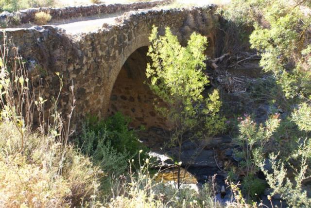 Puente camino de San Bartolom I