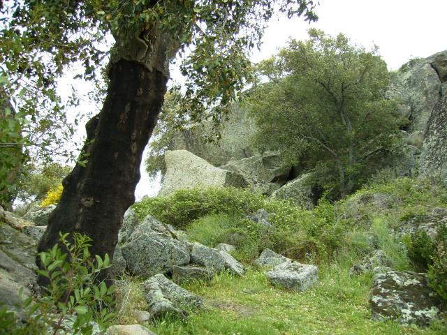 Cueva de Boquique 6