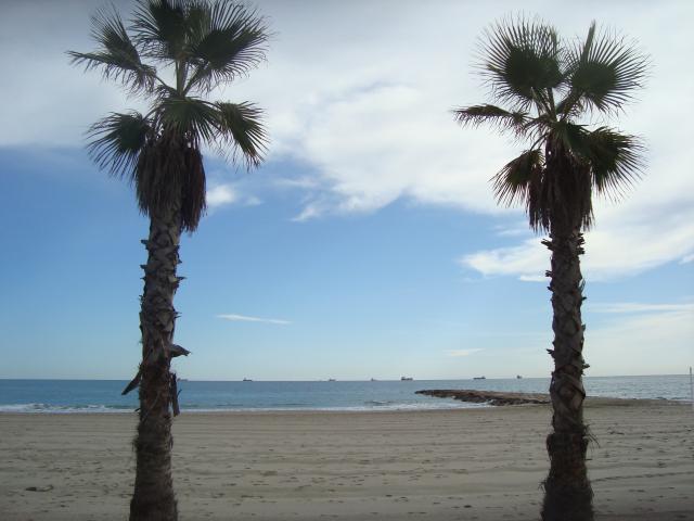 Playa de Castelln, del Serradal
