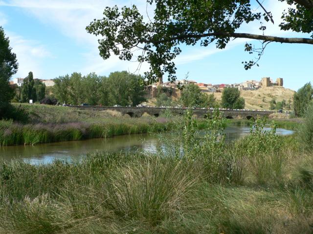 Vista de Valderas por el puente 2006