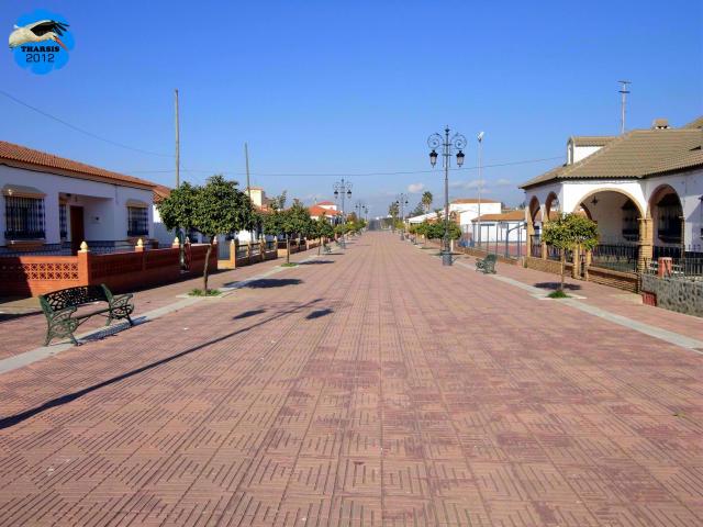 Avenida Andaluca