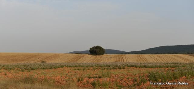 Tierras de Castilla