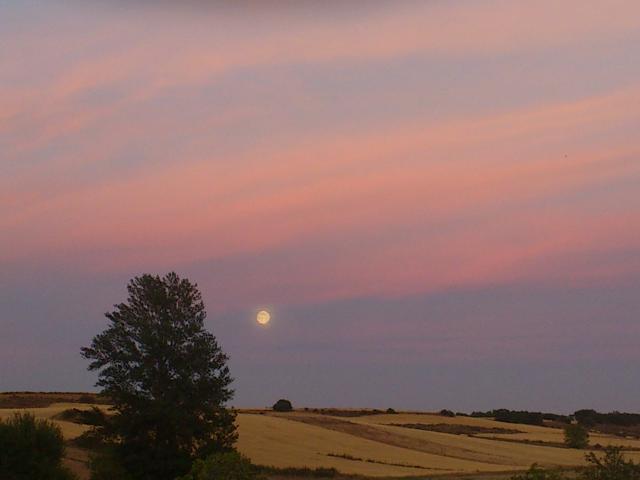 luna llena sobre los campos de trigo