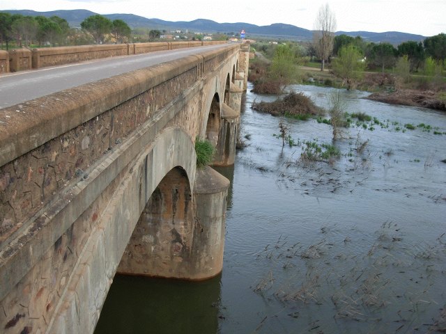 Puente de la Gravera I