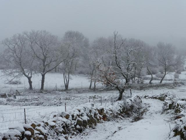 nevada 2015