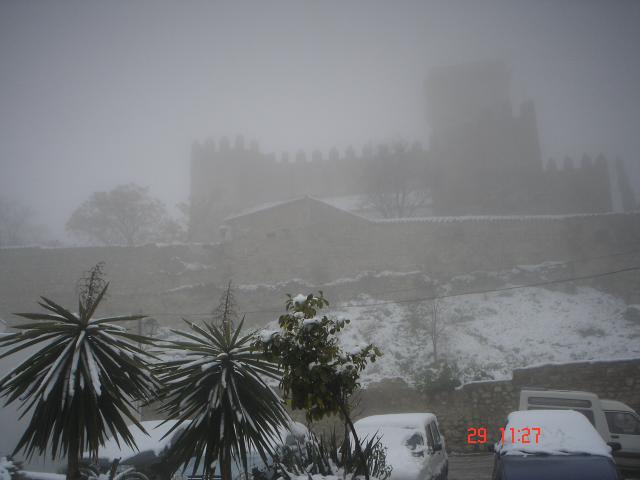 nevada 2006
