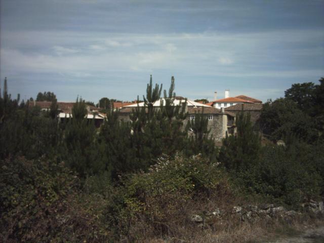 Puricelas (Villareda)