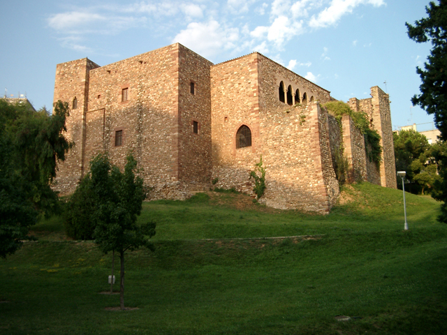 Castell-Cartoixa de Vallparads