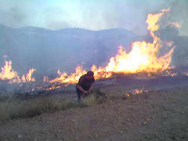 Incendio trmino de Domeo julio 2007