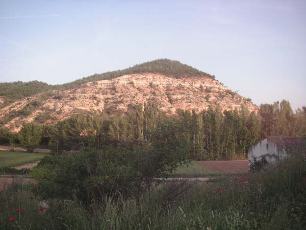 El Pico de la Veleta